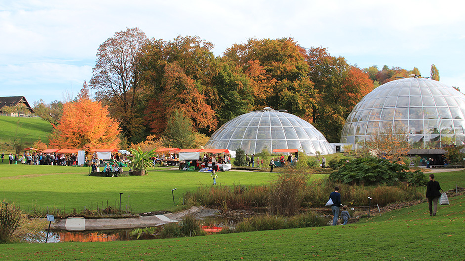 In herbstlicher Idylle: Der Obstsortenmarkt im Botanischen Garten zog am Samstag viele Besucherinnen und Besucher an.