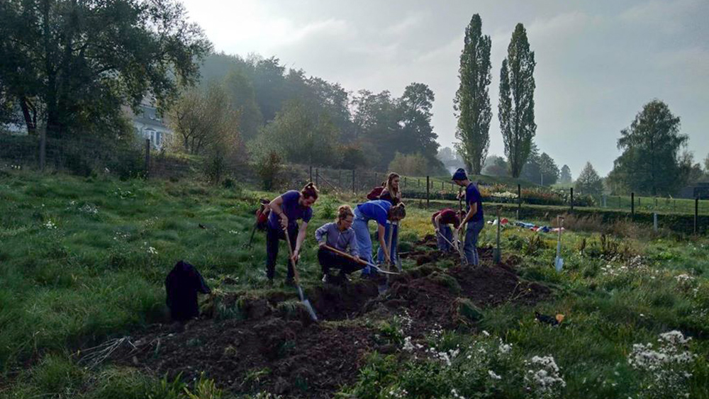 Studierende bei der Gartenarbeit.