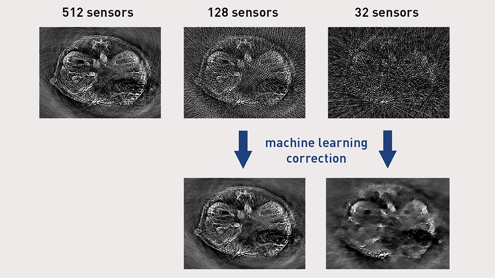 Cross-sectional images of a mouse.