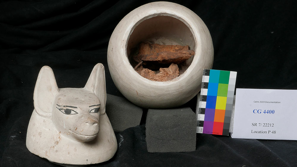 An opened canopy jar from the 12th Dynasty. The jackal-headed lid indicates that the jar was used to store the intestine. (Inv. N° CG 4400, Middle Kingdom, found in Sakkara). (Picture: Patrick Eppenberger)