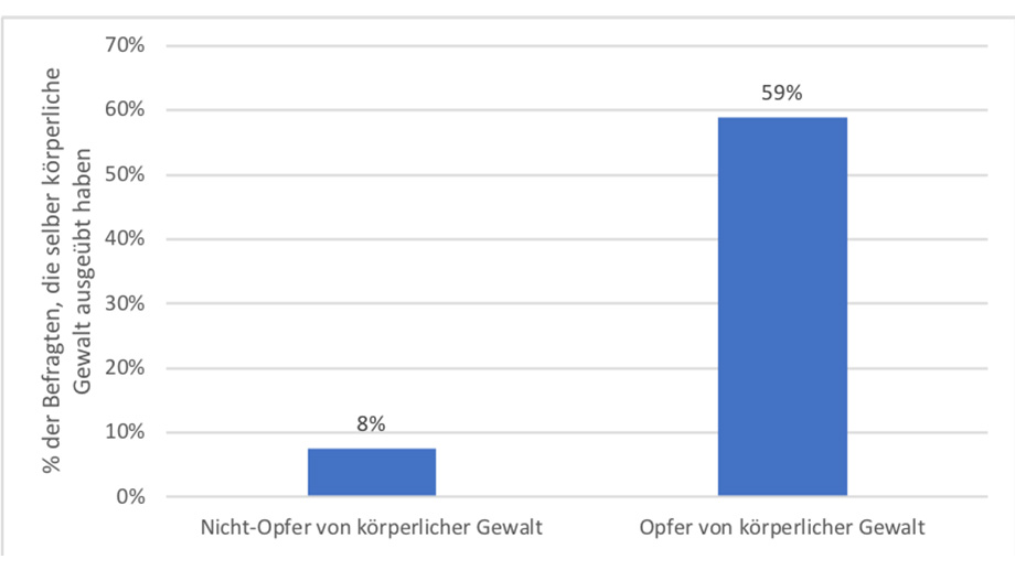 Abb. 13: Die Überschneidung von Opfer- und Tätererfahrungen bei körperlicher Gewalt im häuslichen Kontext. Hinweis: Die Zahlen der drei z-proso-COVID-19-Befragungen wurden summiert.