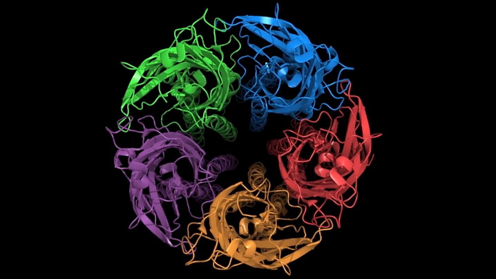 Membranprotein