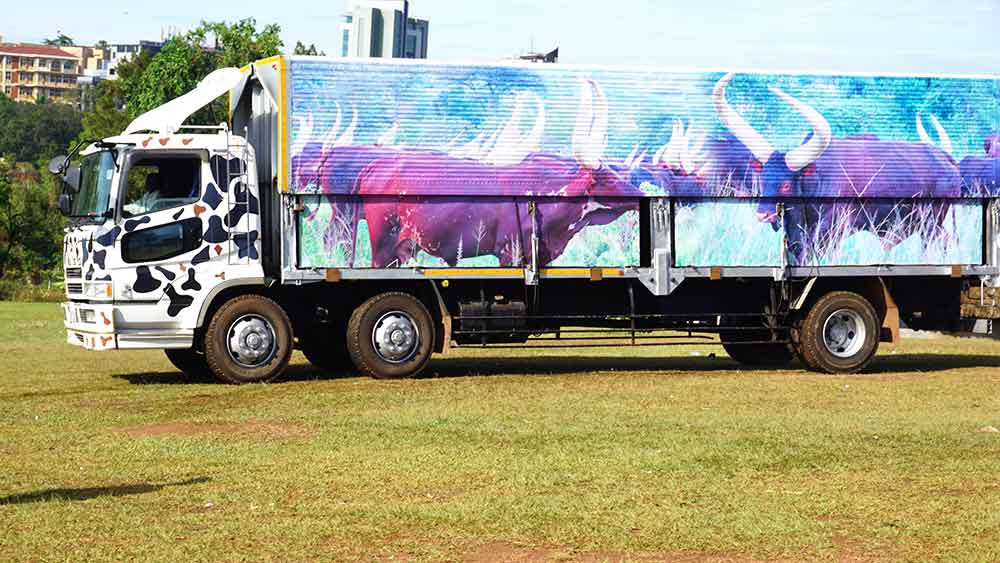 A herd of Ankole longhorn cattle adorns one side of the truck.