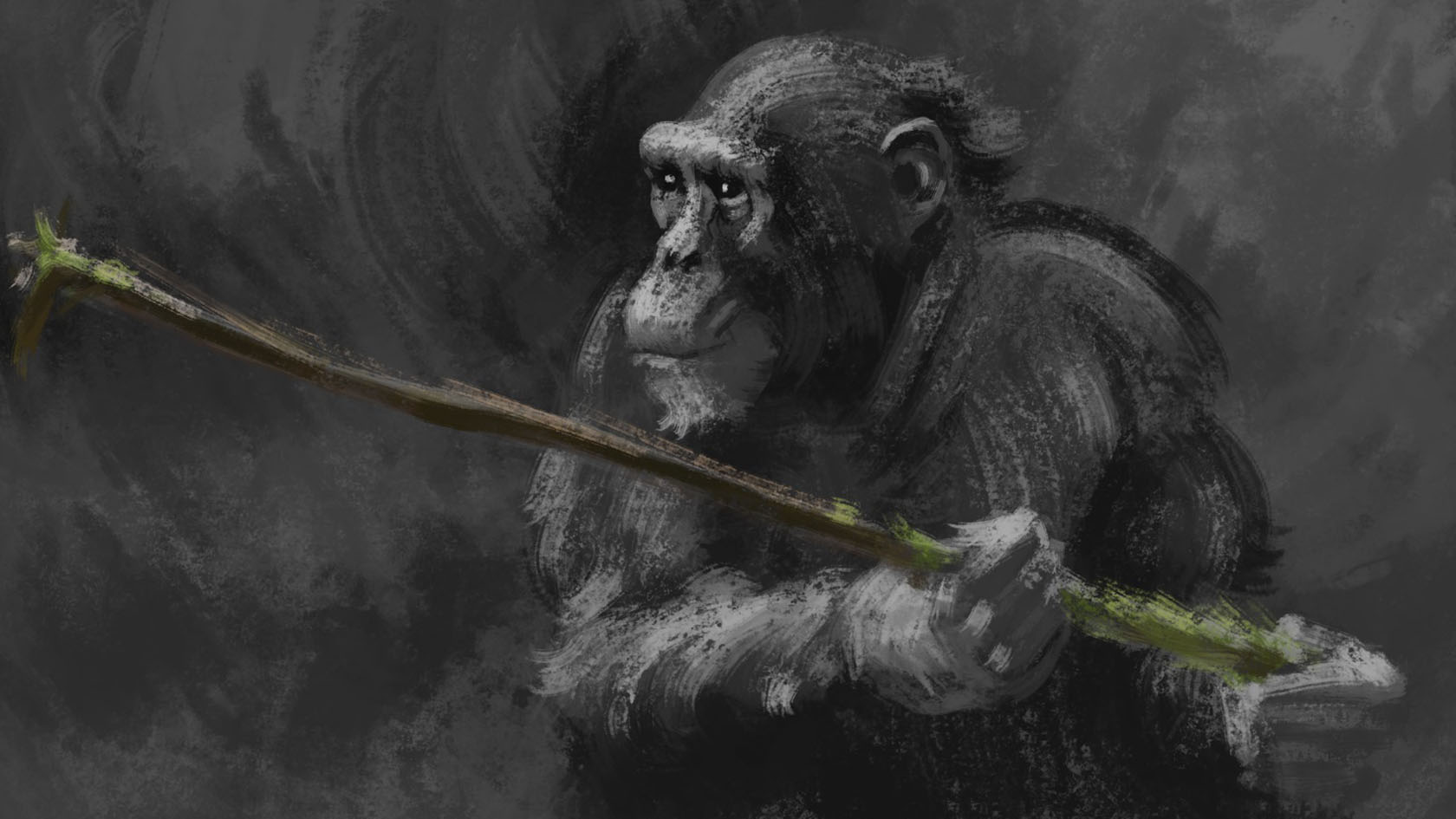 Chimpanzee_algaefishing