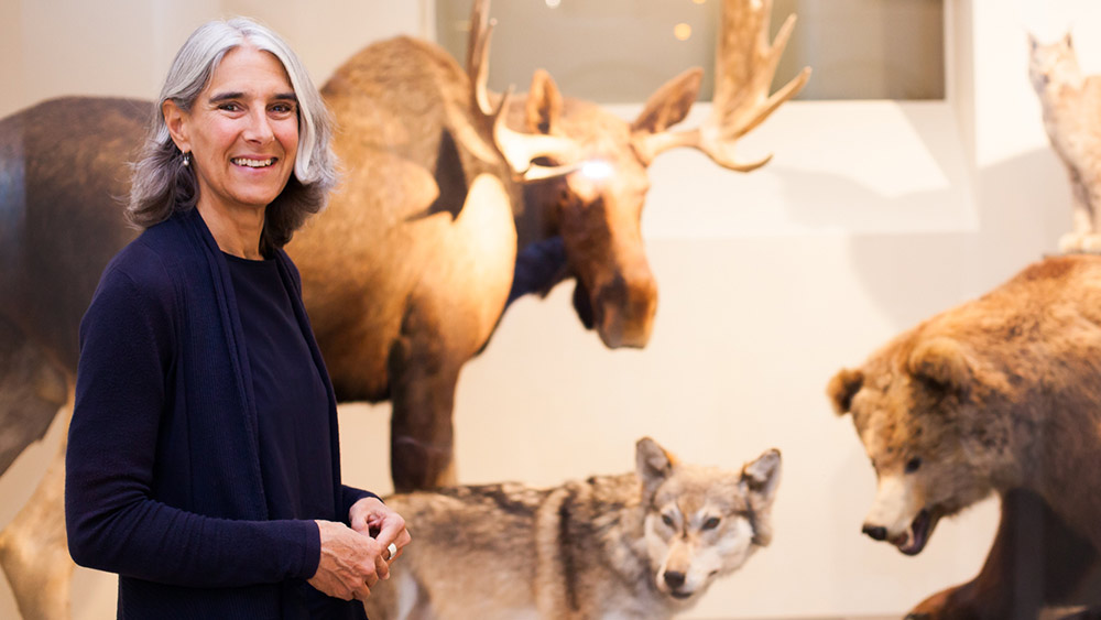 Isabel Klusman, Leiterin des Zoologischen Museums.