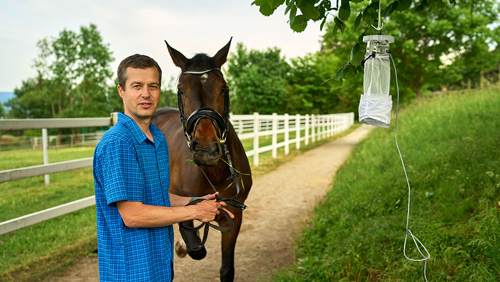 Niels Verhulst with horse