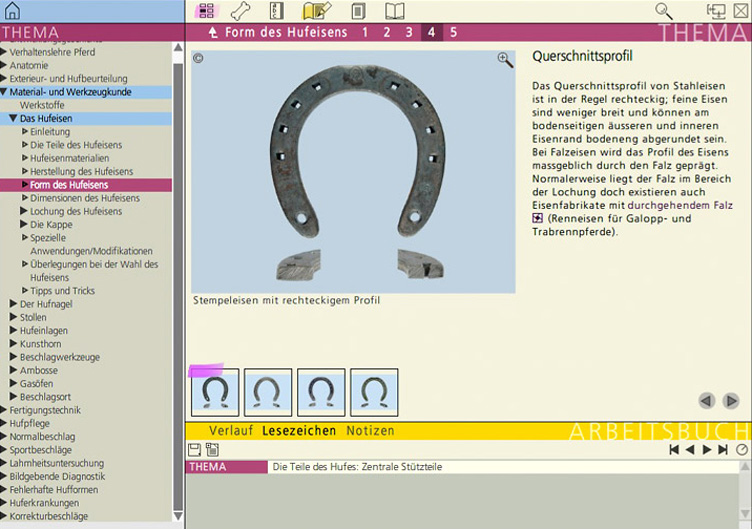 … die Lernmethoden dafür umso mehr: «eHoof» heisst das umfangreiche Lehrmittel für Hufschmiede und Tierärzte, das vom Departement für Pferde der Universität Zürich und der Schweizerischen Metall-Union entwickelt wurde. Im Bild: eine Webseite zu Material und Werkzeug des Hufschmiedes. In insgesamt 84 Kapiteln setzt das Lehrmittel neue Standards in der Ausbildung.